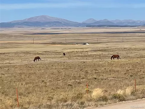 439 Corral Rd, Hartsel, CO 80449 photo 16