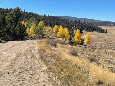 439 Corral Rd, Hartsel, CO 80449 photo 15
