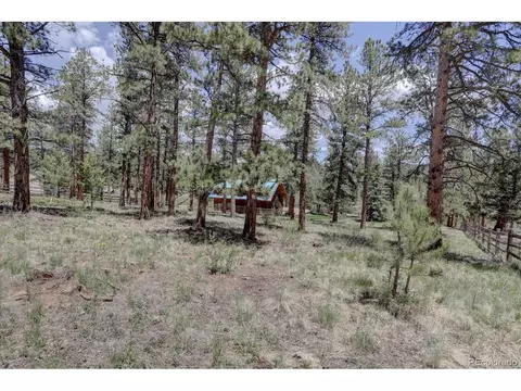 864 Conestoga Rd, Bailey, CO 80421 photo 35