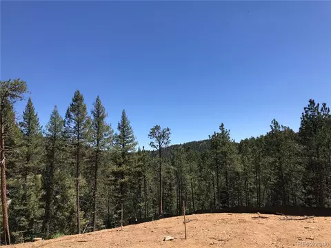 21549 Trappers Trl, Morrison, CO 80465 photo 4