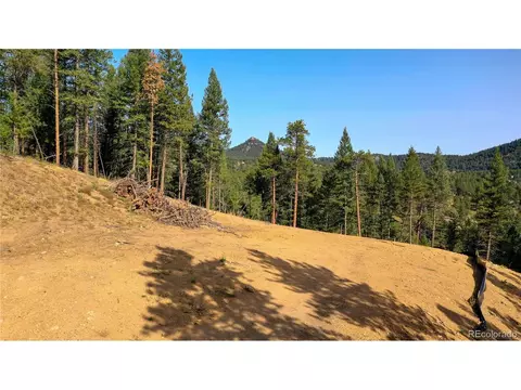 21549 Trappers Trl, Morrison, CO 80465 photo 11
