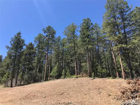 21549 Trappers Trl, Morrison, CO 80465 photo 5