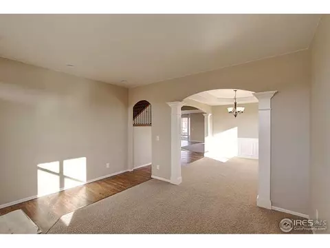 1889 Seadrift Dr, Windsor, CO 80550 photo 3