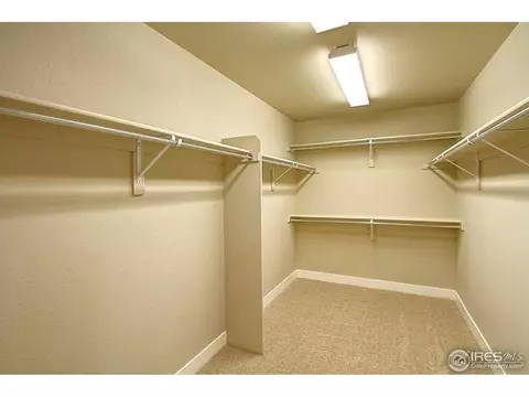 7030 Aladar Dr, Windsor, CO 80550 photo 17