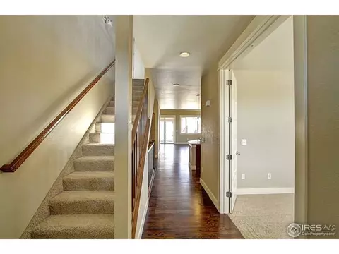 7030 Aladar Dr, Windsor, CO 80550 photo 19
