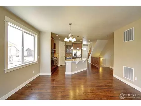 7030 Aladar Dr, Windsor, CO 80550 photo 11