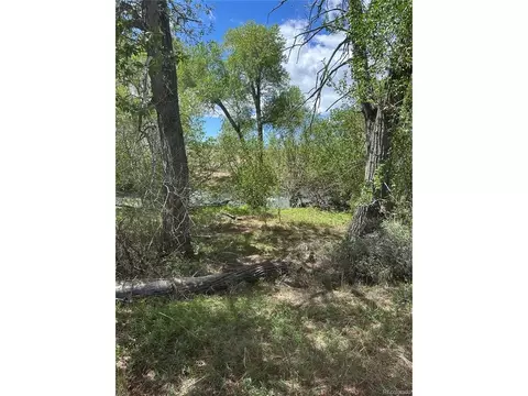 109 Alamosa River Ests, Capulin, CO 81124