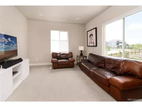 25596 E Alder Dr, Aurora, CO 80016 photo 27