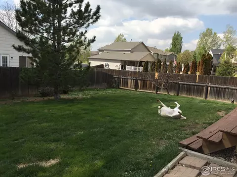 4302 E 135th Way, Thornton, CO 80241 photo 12