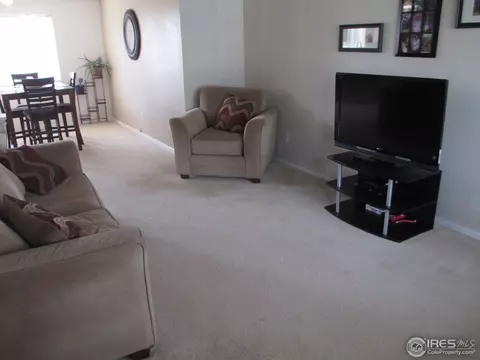 4302 E 135th Way, Thornton, CO 80241 photo 4