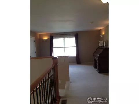 1421 Canal Dr, Windsor, CO 80550 photo 15