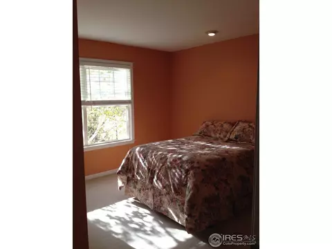 1421 Canal Dr, Windsor, CO 80550 photo 20