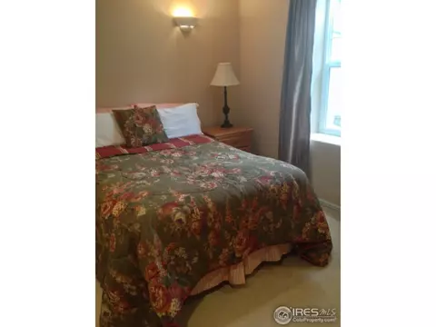 1421 Canal Dr, Windsor, CO 80550 photo 14