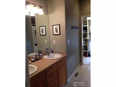 1421 Canal Dr, Windsor, CO 80550 photo 10