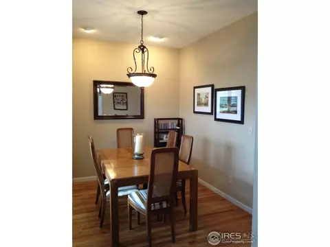 1421 Canal Dr, Windsor, CO 80550 photo 17
