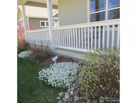 1123 Fairfield Ave, Windsor, CO 80550 photo 2