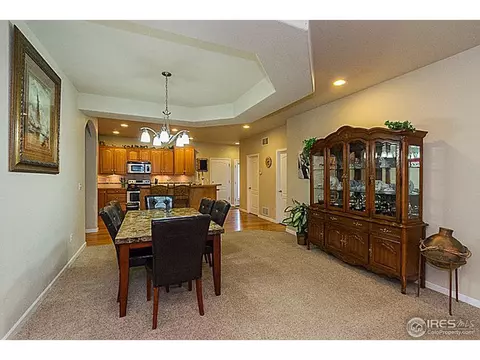 1123 Fairfield Ave, Windsor, CO 80550 photo 8