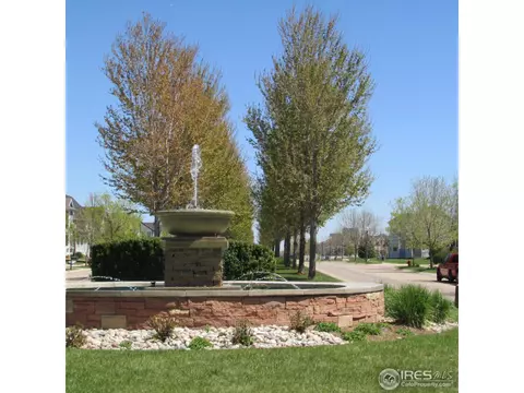 1123 Fairfield Ave, Windsor, CO 80550 photo 21