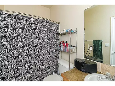 1123 Fairfield Ave, Windsor, CO 80550 photo 17