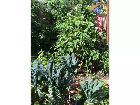 700 Hawthorn Ave, Boulder, CO 80304 photo 13