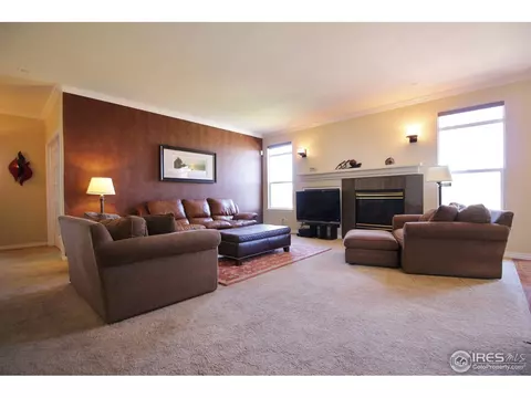 16254 Willow St, Brighton, CO 80602 photo 9