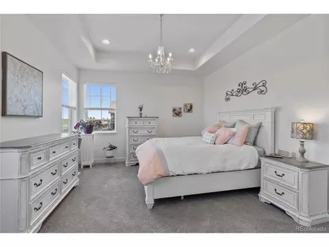 1956 Shadow Lake Ct, Windsor, CO 80550 photo 33