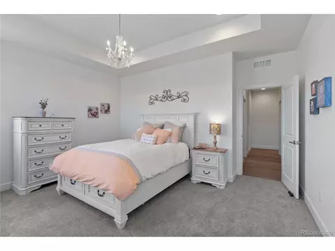 1956 Shadow Lake Ct, Windsor, CO 80550 photo 36