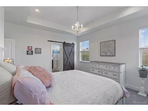 1956 Shadow Lake Ct, Windsor, CO 80550 photo 34