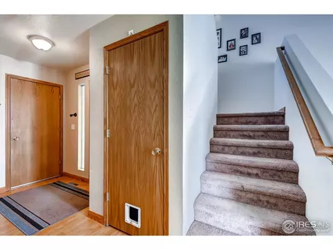 151 Crabapple Dr, Windsor, CO 80550 photo 3