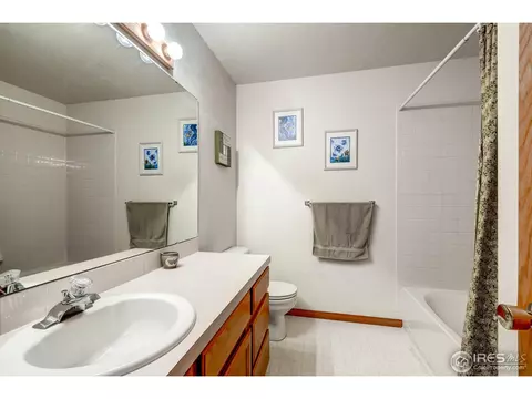 151 Crabapple Dr, Windsor, CO 80550 photo 19