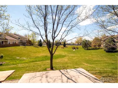 151 Crabapple Dr, Windsor, CO 80550 photo 20