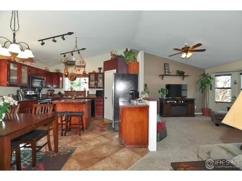 1113 Canyon Dr, Windsor, CO 80550 photo 9