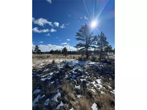 861 State Highway 24, Lake George, CO 80827