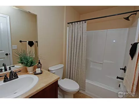 7511 Eustis Dr, Wellington, CO 80549 photo 23