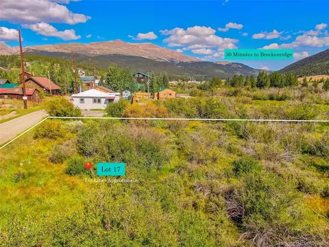 17 Singleton Rd, Alma, CO 80420 photo 10