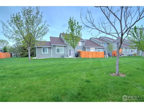733 Apple Ct, Windsor, CO 80550 photo 15