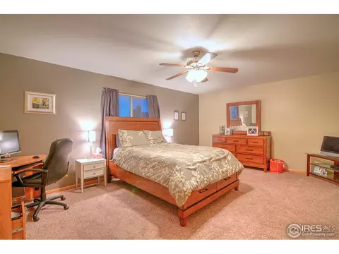 733 Apple Ct, Windsor, CO 80550 photo 9
