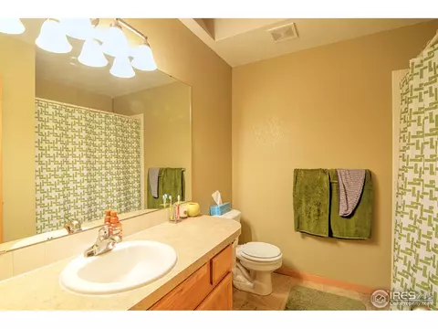 733 Apple Ct, Windsor, CO 80550 photo 11