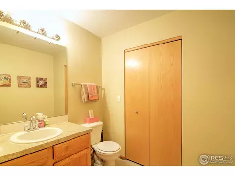 733 Apple Ct, Windsor, CO 80550 photo 8