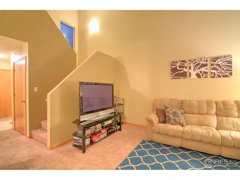733 Apple Ct, Windsor, CO 80550 photo 4