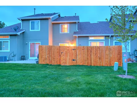 733 Apple Ct, Windsor, CO 80550 photo 13