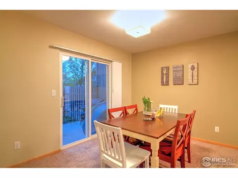 733 Apple Ct, Windsor, CO 80550 photo 7