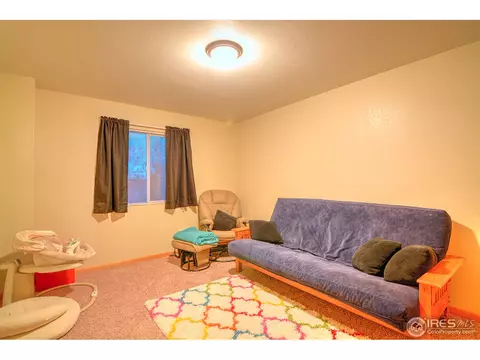 733 Apple Ct, Windsor, CO 80550 photo 10