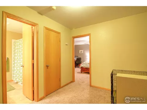 733 Apple Ct, Windsor, CO 80550 photo 12