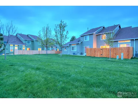 733 Apple Ct, Windsor, CO 80550 photo 16