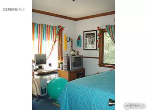 203 Venus Rd, Black Hawk, CO 80422 photo 13