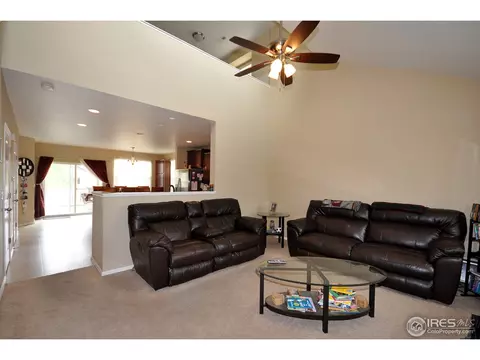 609 Botley Dr, Windsor, CO 80550 photo 2