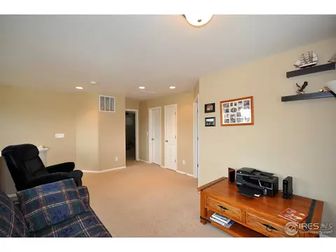 609 Botley Dr, Windsor, CO 80550 photo 13