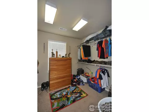 609 Botley Dr, Windsor, CO 80550 photo 17