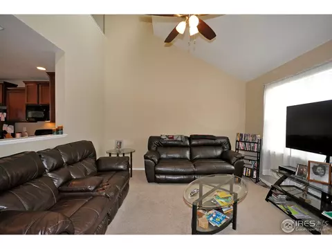 609 Botley Dr, Windsor, CO 80550 photo 3